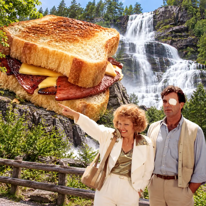 Fried bologna sandwich finished collage