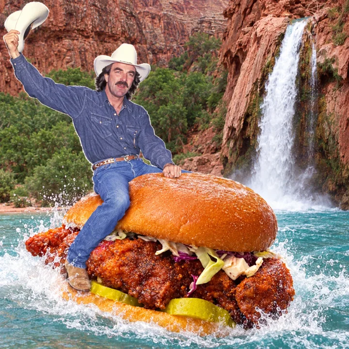 Nashville hot chicken sandwich finished collage