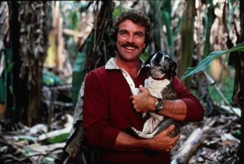 Selleck photograph for BLT