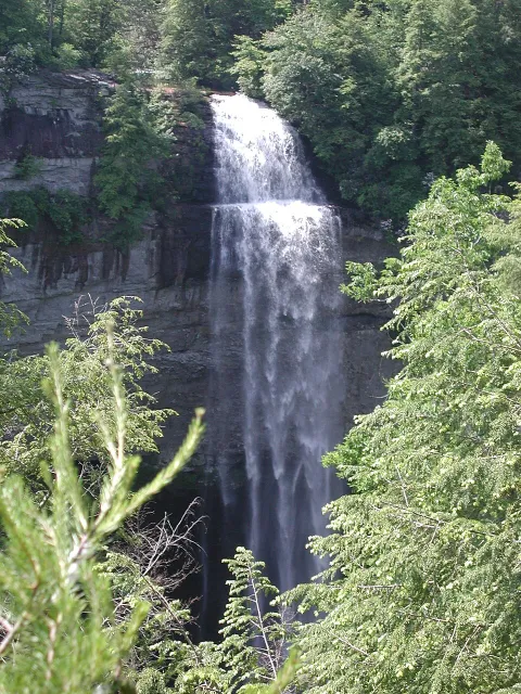 Waterfall photograph for Crab cake sandwich