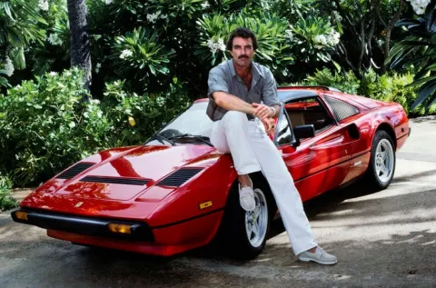 Selleck photograph for Chivito sandwich