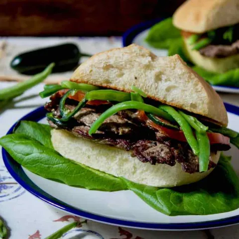 Sandwich photograph for Chacarero sandwich