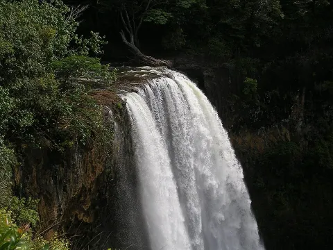 Waterfall photograph for Chacarero sandwich