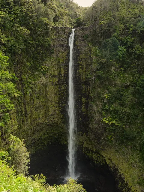 Waterfall photograph for Cemita poblana