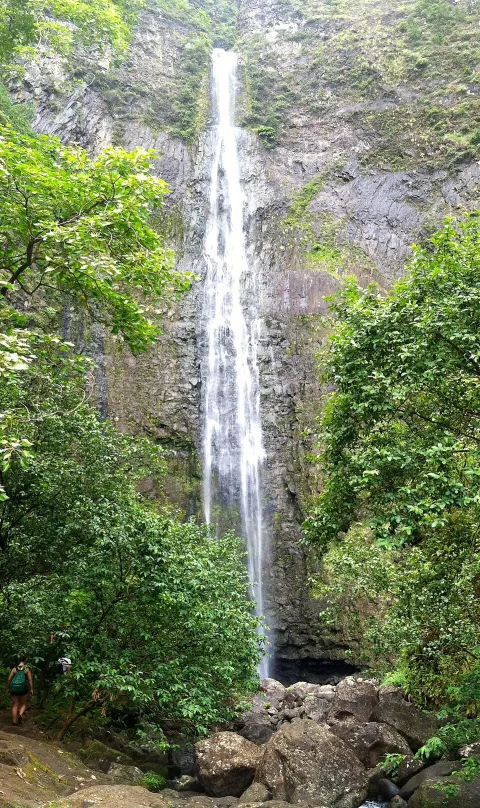 Waterfall photograph for Torta ahogada