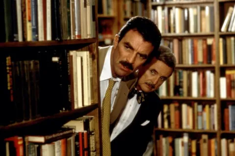 Selleck photograph for Bombay vegetable sandwich