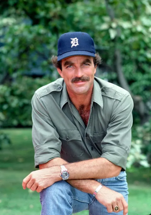 Selleck photograph for Falafel pita sandwich