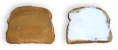 Sandwich photograph for Fluffernutter