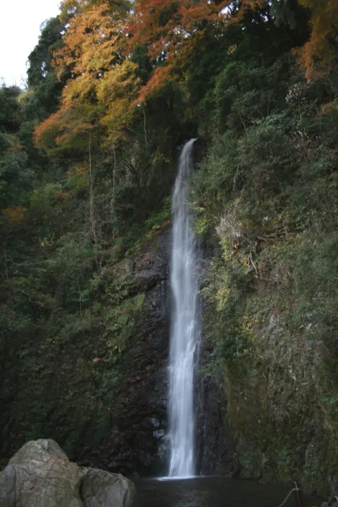 Waterfall photograph for Elvis peanut butter banana bacon sandwich